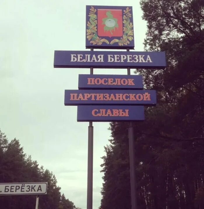 Брянск пгт белая березка. Белое брянск. Ул челюскинцев 11 брянск. Белая березка поселок брянск. Белое брянск.