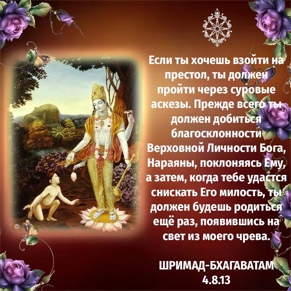 Аскеза как написать на исполнение желания. Шримад Бхагаватам. Аскеза шаблон. Мужские аскезы.