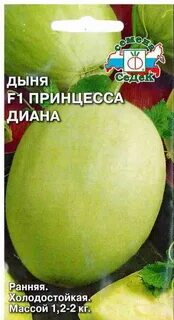 Дыня принцесса