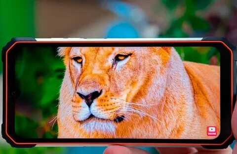 Blackview 8 дюймов