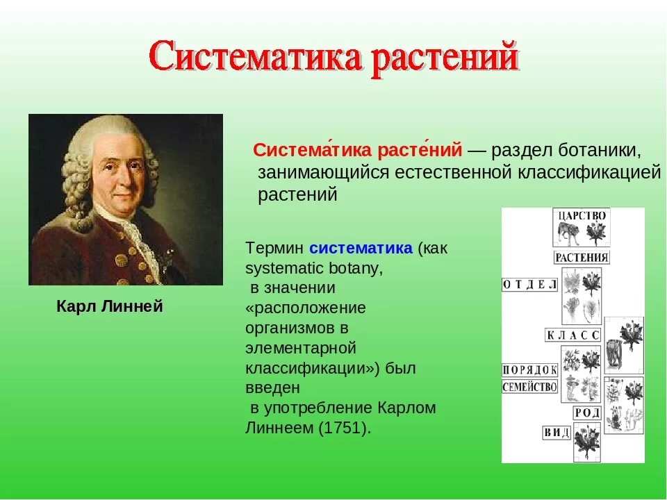Систематические урок