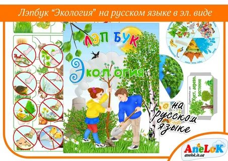 Наглядная среда
