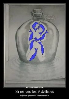 Картинка с дельфинами тест