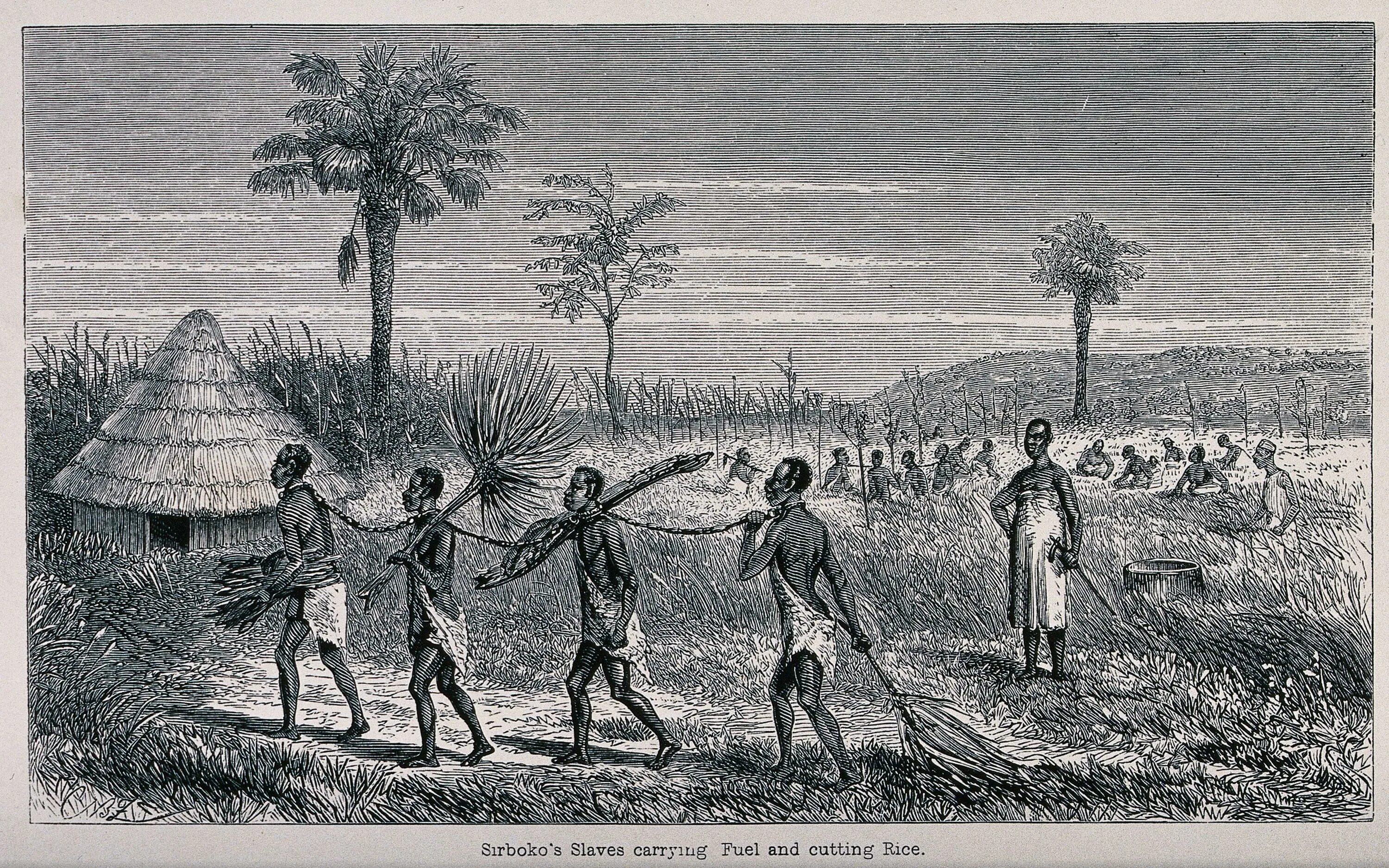 Экономическое развитие мали. Африка 19 века колонизаторы. Колонизация Африки 17 век. Работорговля в Африке 18 век. Работорговля в Африке 19 век.