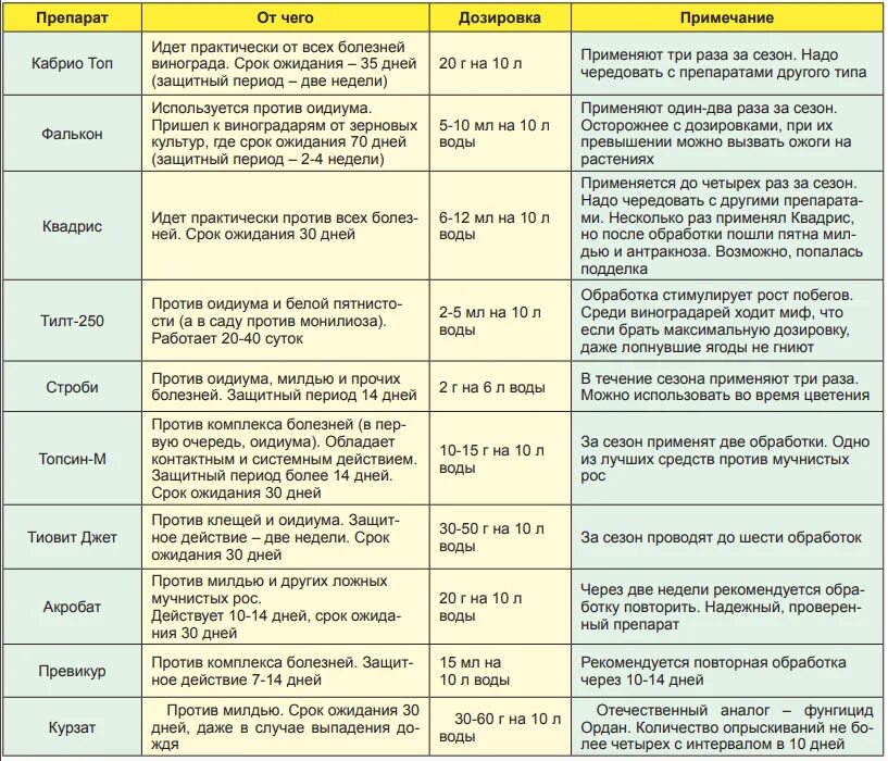 Таблица препаратов от вредителей и болезней винограда. Схема обработки винограда от болезней. Таблица обработки винограда. Препараты для обработки винограда от вредителей и болезней таблица.