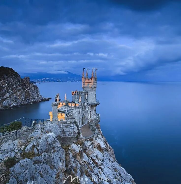 Swallows nest