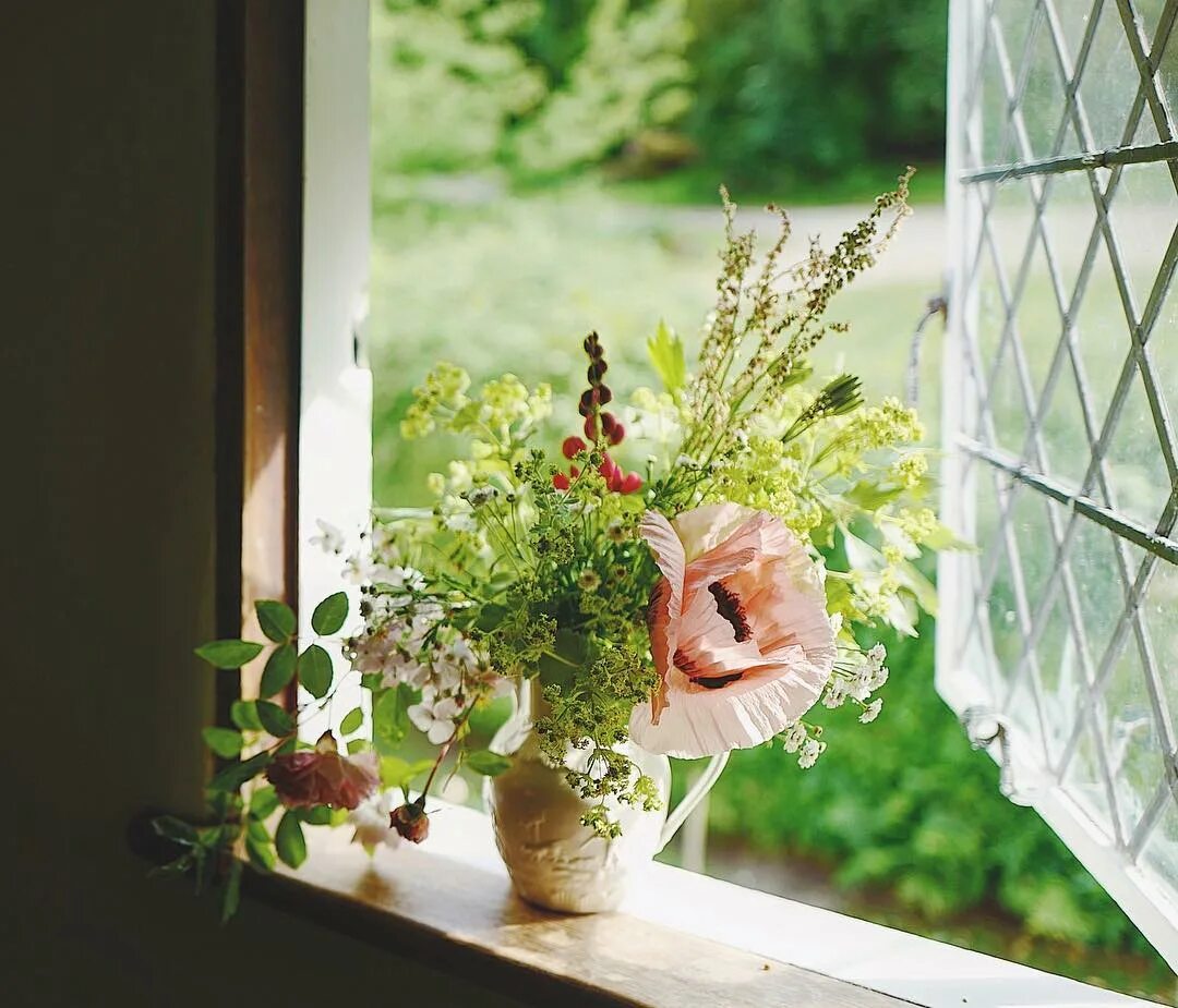 Цветы на окне. Окно в цветах. Окно с цветами на подоконнике. Подоконник с цветами.