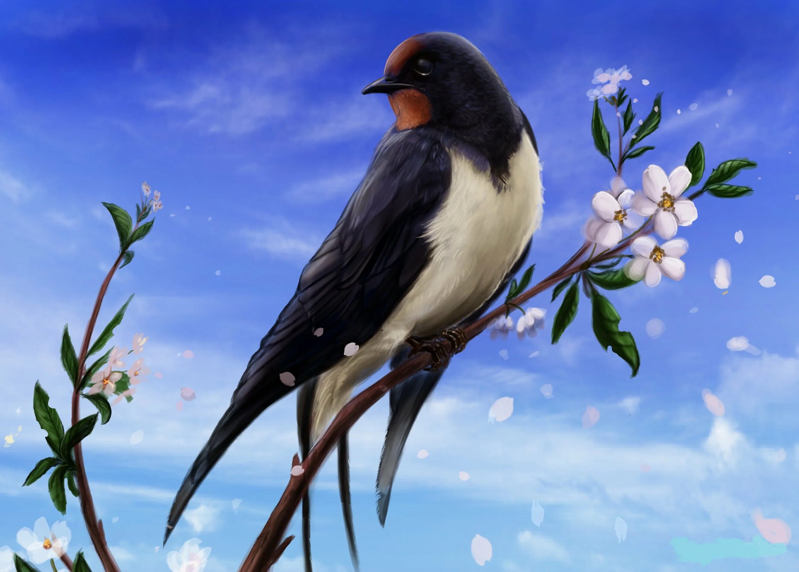 Изящную птицу ласточку называют символом весны. Птицы весной. Весенние птички. Птица на ветке.