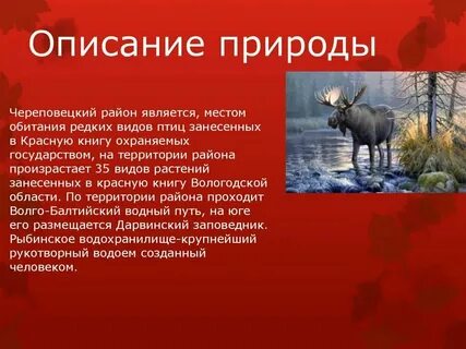 Описание природы острова