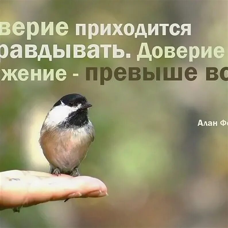 Оправданное доверие. Оправдывайте доверие. оправдать доверие. доверие и уважение — превыше всего. доброта превыше всего.