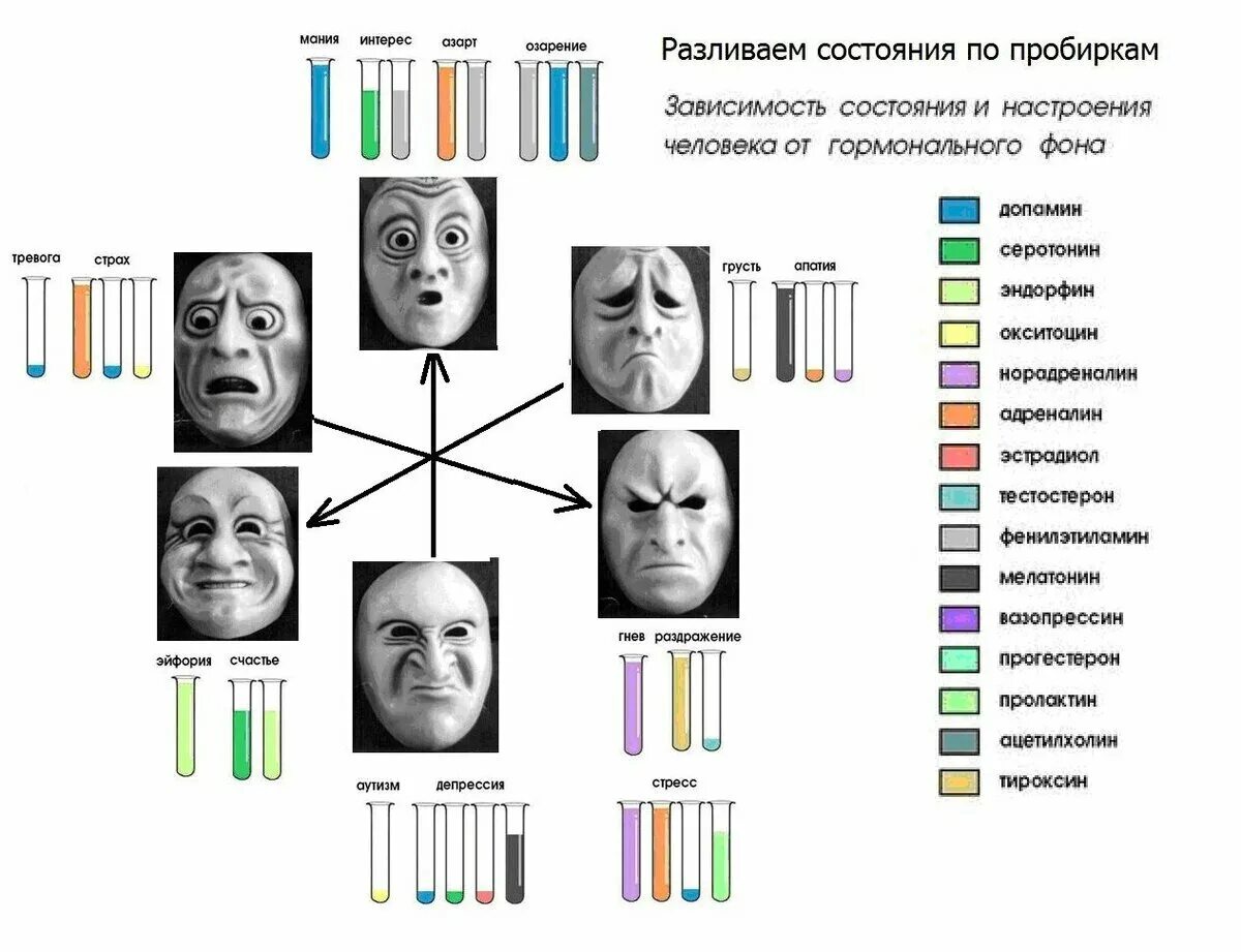 Эмоции и гормоны взаимосвязь. Влияние гормонов на эмоции. Гормоны отвечающие за эмоции. Гормоны и эмоции. Влияние гормонов на эмоции.