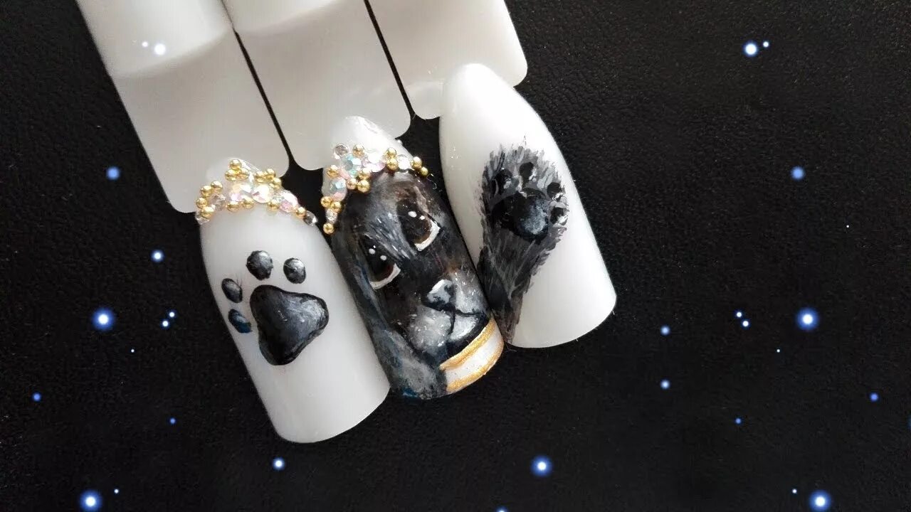 Лапа собаки на ногтях. Маникюр с пуделем. Лапки на ногтях. Дизайн ногтей с лапками.