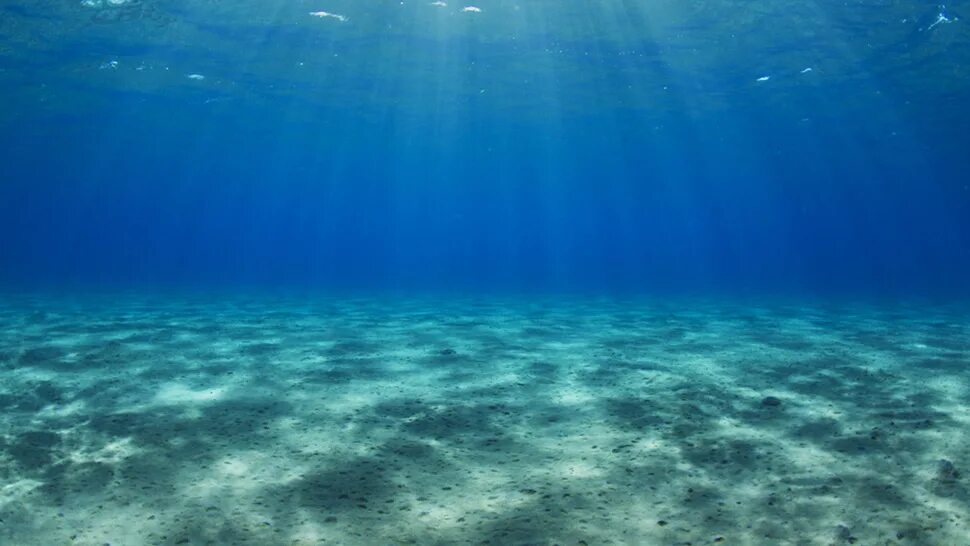 Толща воды океана. Дно океана. Океан под водой. Дно моря. Морское дно.