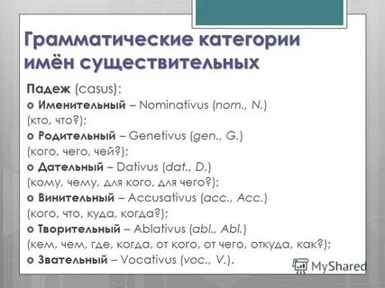 Категории имени существительного