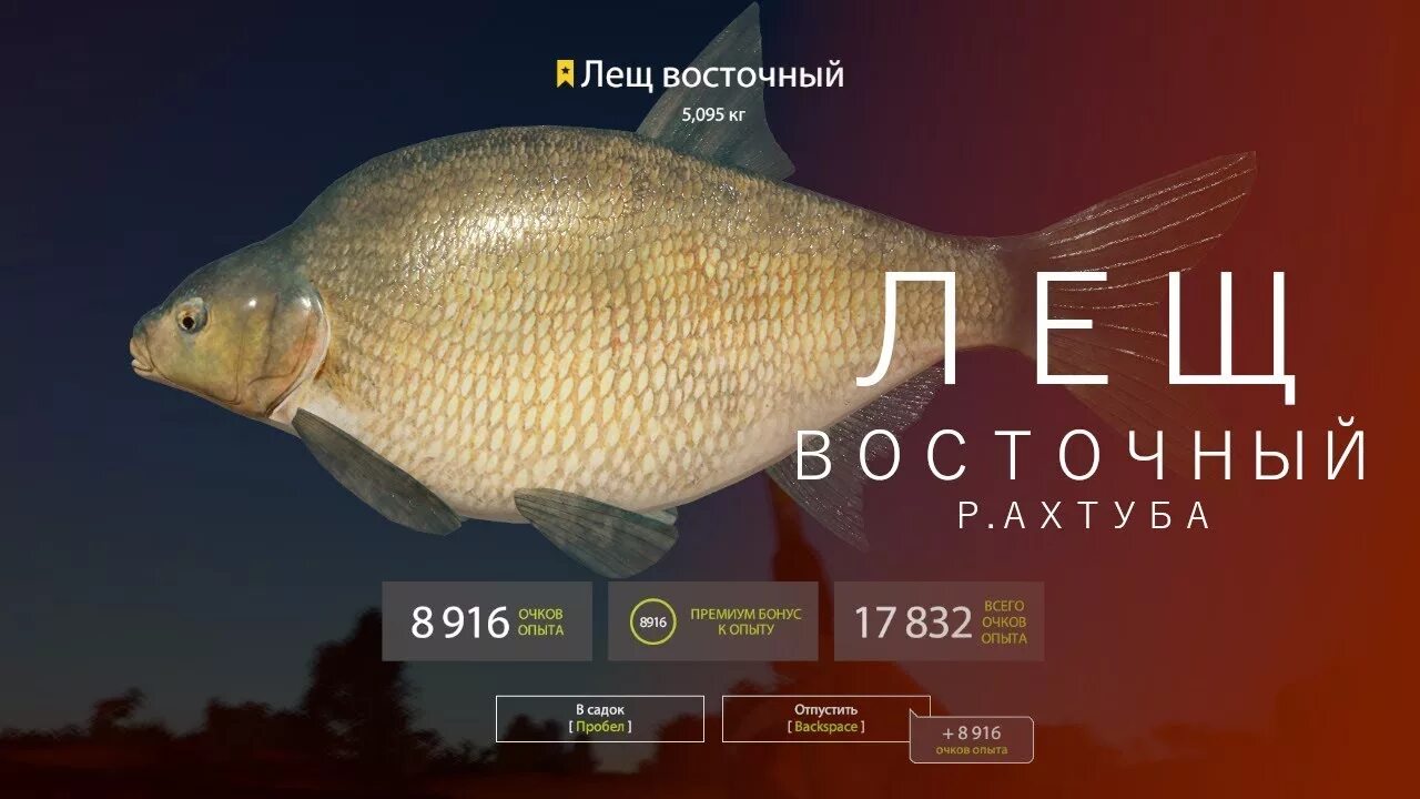 4 леща