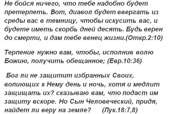 Пикник ничего не бойся слова. Не бойся ничего что тебе надобно будет претерпеть. Бог ли не защитит избранных своих. Ничего не бойтесь. Бог ли не защитит избранных своих вопиющих к нему день и ночь хотя.