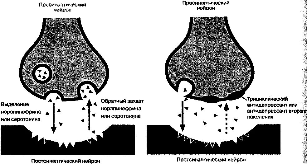 Синапс медиаторы обратный захват. Механизм обратного захвата серотонина. Схема обратного захвата серотонина. Обратный захват нейромедиаторов.