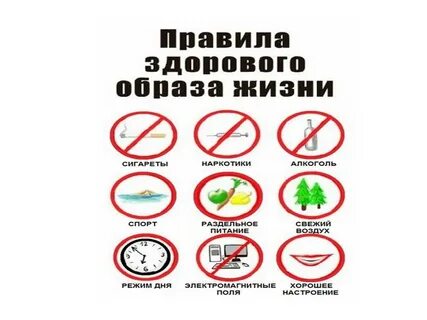 Что не допускает зож