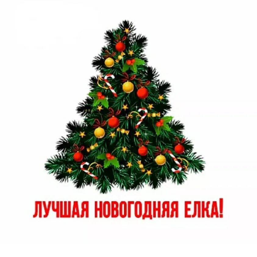Елки дата