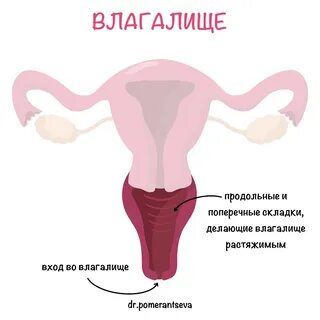 Наши услуги. 