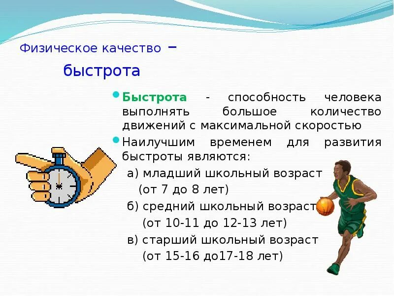 Использование средств баскетбола для развития быстроты. Как развивать физические качества. Физические качества человека. Основные физические качества человека. Физическое качество быстрота.