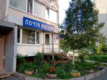 Почта лесной