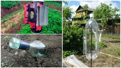 Как избавиться от кротов и землероек