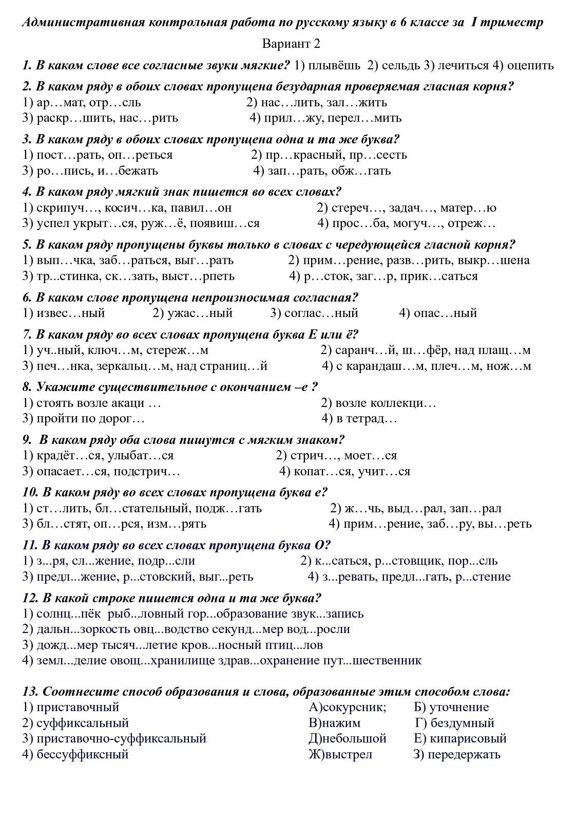 Годовая работа 6 класс русский