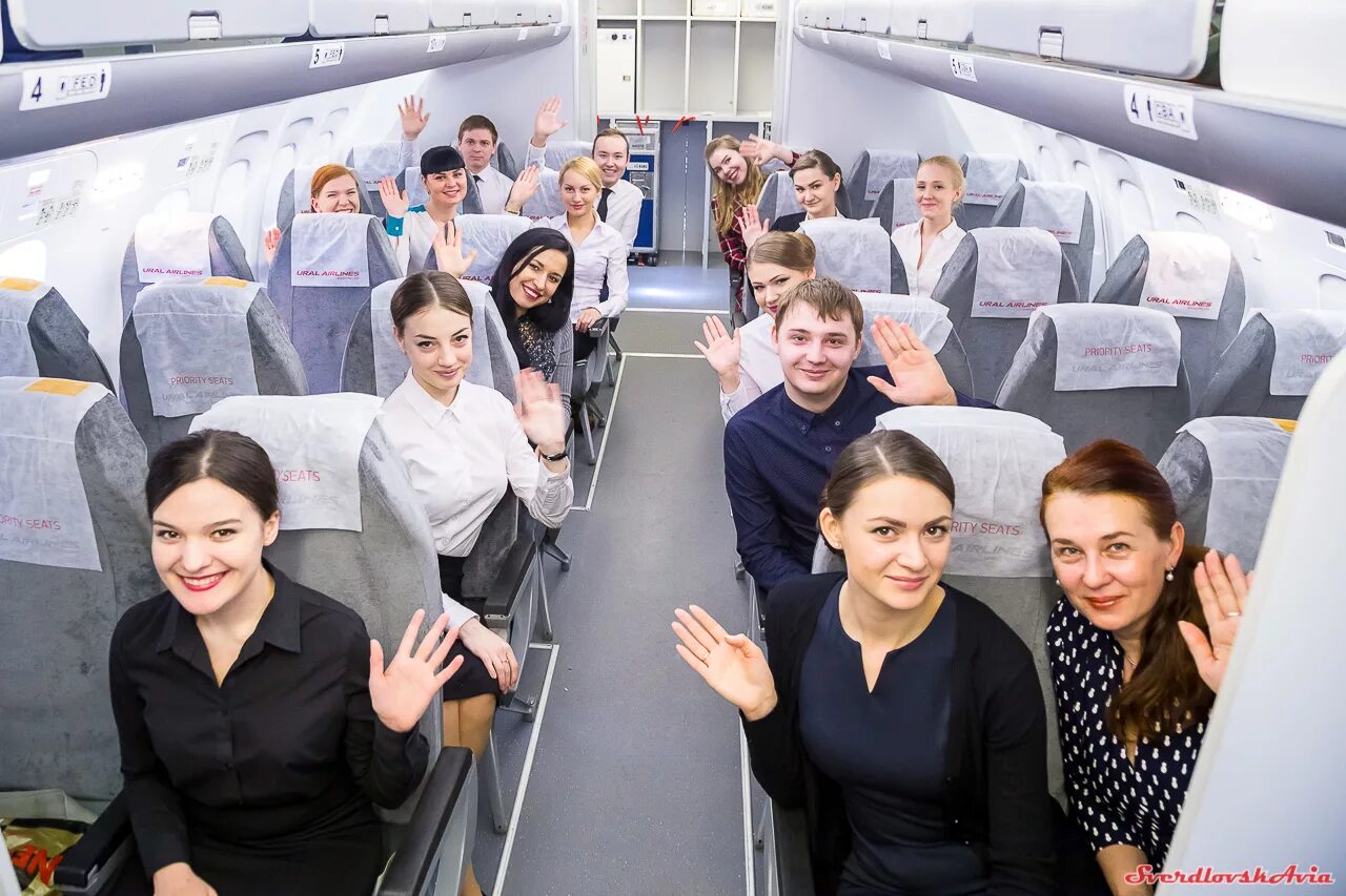 Стюардессам нужно высшее образование