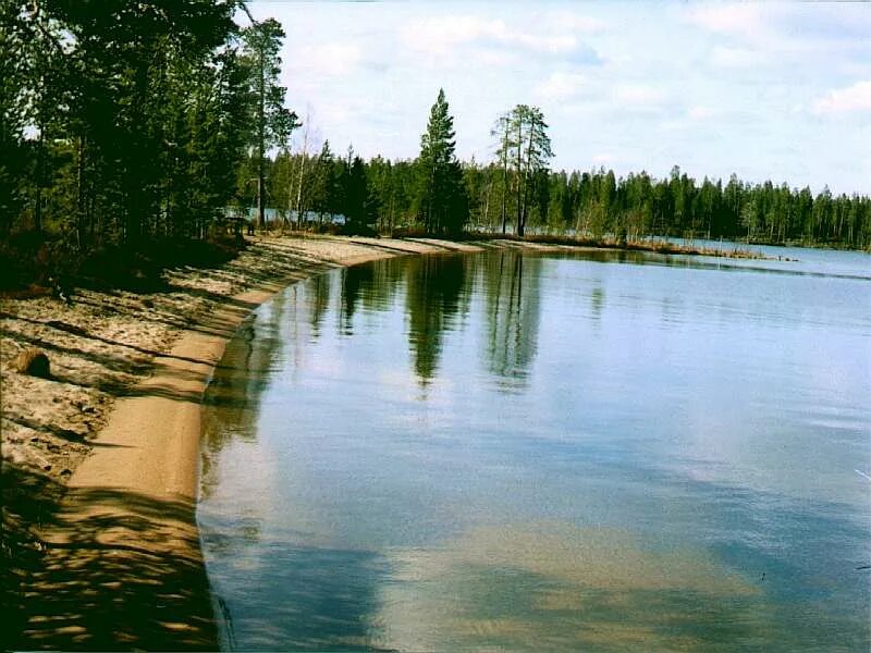 фку ик-18 «полярная сова». посёлок лоухи республика карелия. полярная сова тюрьма ик 18. северный полюс, самара. строго северный.