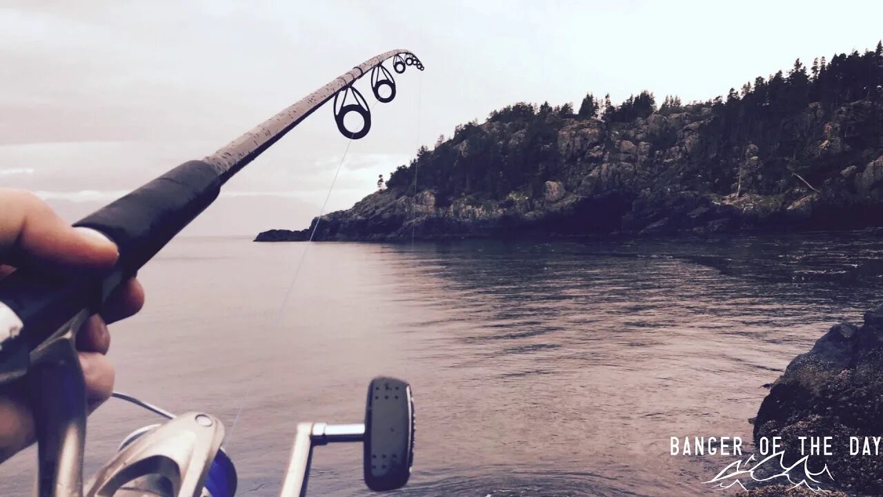 The best fishing. Рыболовные картинки. Обои рыбалка. Молодой рыбак. The best fishing.