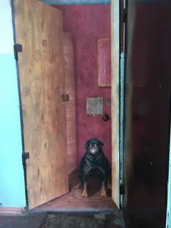 Жду под дверью