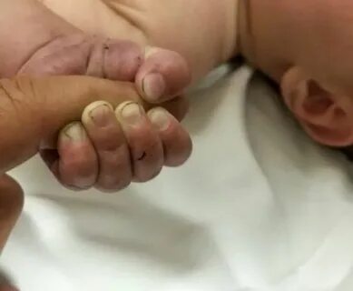 Baby montana