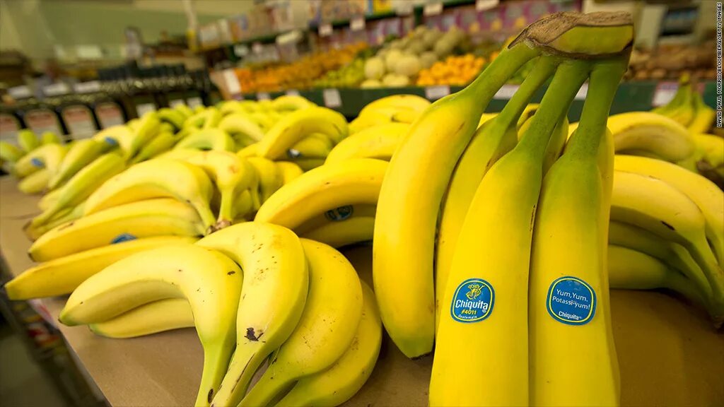 Где купить банан. Chiquitita бананы. Фирмы бананов. Наклейки на бананах. Производители бананов.