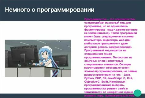 Программист краткое описание