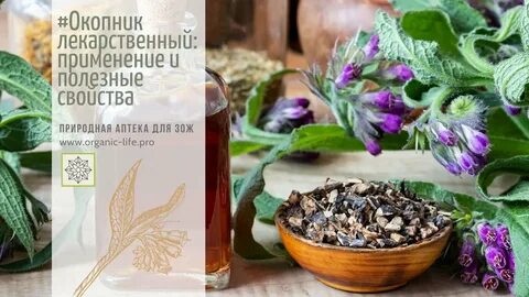 Окопник польза и вред
