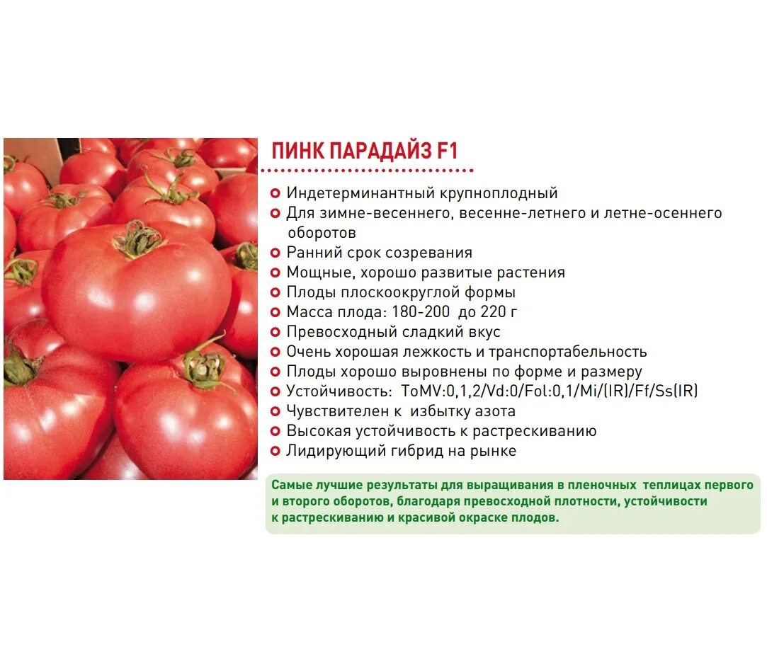 Томат пинк парадайз характеристика и описание сорта. Пинк парадайз томат ф1. семена томат пинк парадайз f1. томат парадайз f1. томат розовый пинк парадайз f1.