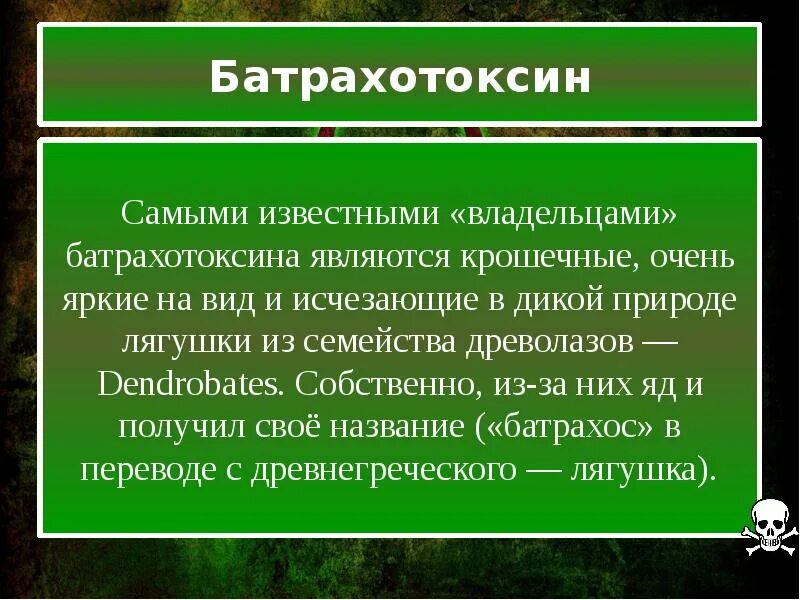 Батрахотоксин лягушка. Батрахотоксин формула. Батрахотоксин механизм действия. Яды небелковой природы. Ядовитая лягушка листолаз.