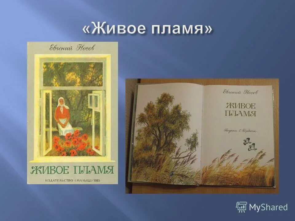 Иллюстрация к рассказу живое пламя. Живое пламя. Литература 5 класс учебник живое пламя