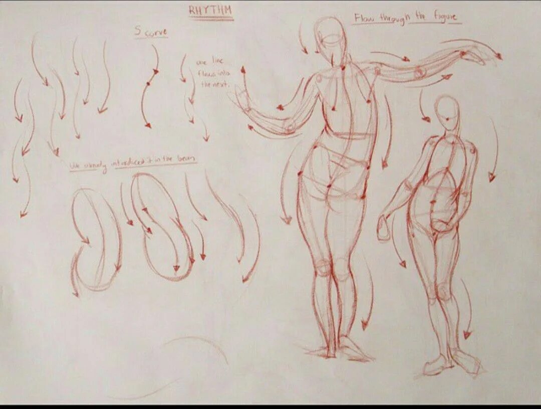 Рыжкин книга. Рыжкин Наброски фигуры. Рыжкин пропорции тела человека анатомия.