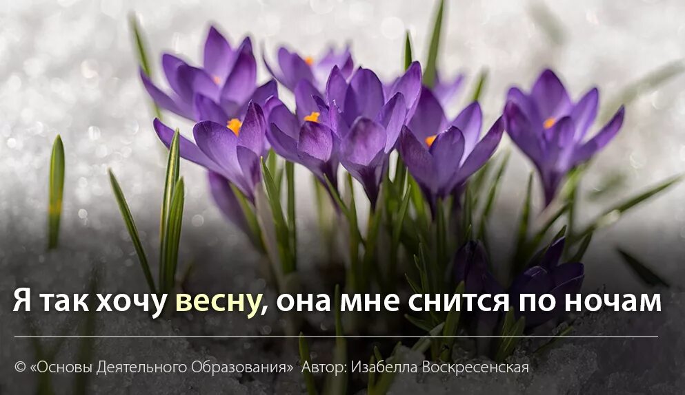 От весны и до весны снятся розовые. Хочется весны. Хочу весну. Так хочется весны. Уже так хочется весны.