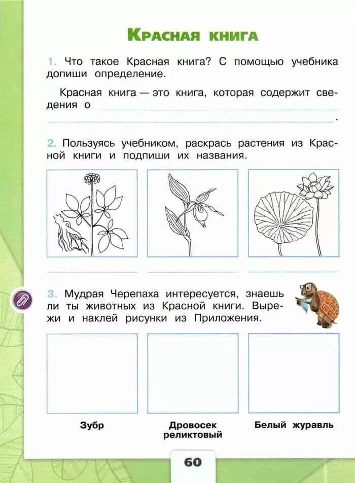 Окружающий мир номер 64. Плешаков окружающий мир рабочая тетрадь 2. Плешаков окружающий мир 2 класс рабочая. Окружающий мир Плешаков 2 кл рабочая тетрадь. Окружающий мир 2 класс рабочая тетрадь 2 часть Плешаков стр 60.