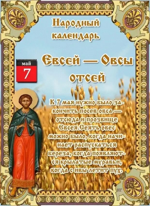 7 мая праздники в этот день. Народный календарь. 7 Мая народный календарь. Народный праздник Евсеев день. 5 Июля народный календарь.