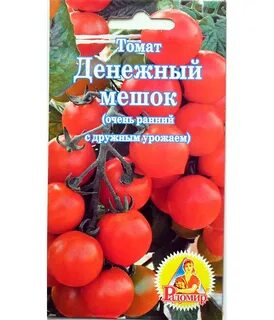 Томат денежный мешок фото