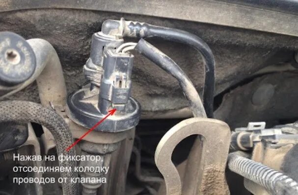 Адсорбер - Citroen C4 (1G), 1,6 л, 2005 года своими руками DRIVE2