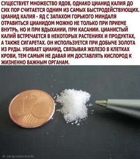 Дозу цианистого калия