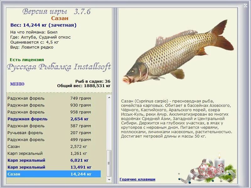 Калорийность сазана вареного. Терпуг калорийность на 100 грамм. Пикша калорийность на 100 грамм. Карп энергетическая ценность. Калорийность варёной герчки.