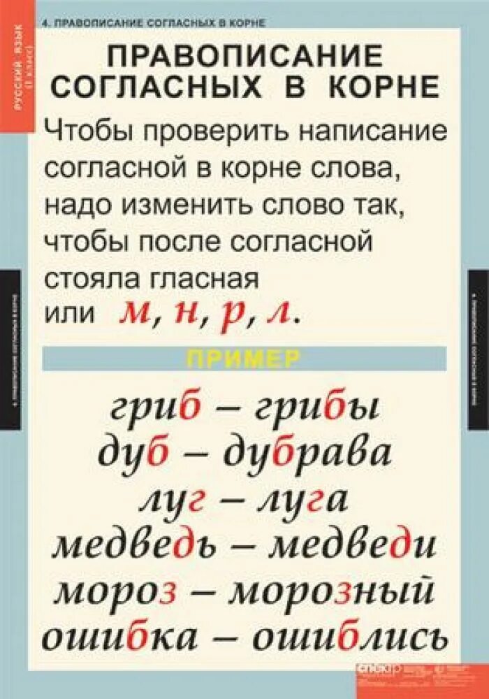 Примеры слов с двумя согласными. Правила написания согласных в корне слова. Правило написания согласных в корне. Правописание гласных и согласных в корне слова. Правописание согласных вклрне.