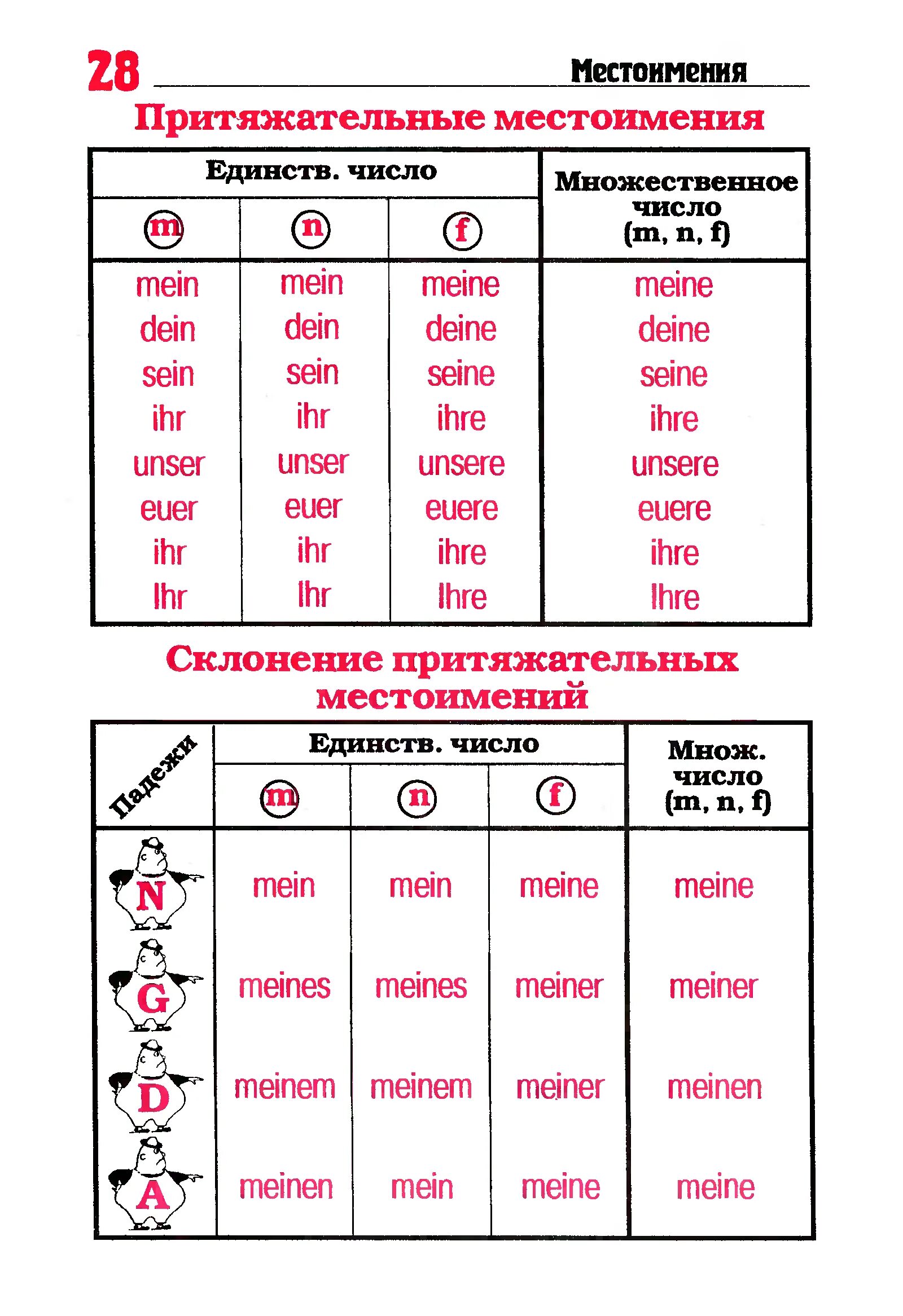 Немецкий язык также. Притяжательные местоимения в немецком языке. Склонение местоимений в немецком языке таблица. Немецкий местоимения таблица. Склонение личных местоимений в немецком языке таблица.