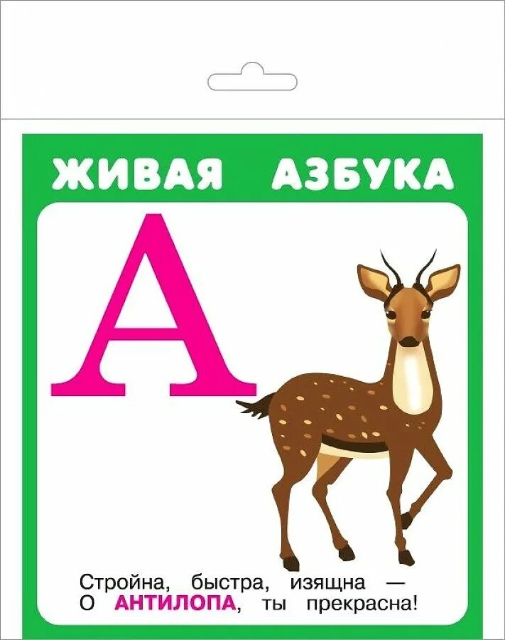 Магнитная азбука т5 эра. Азбука карточки. Веселая азбука. Живая азбука. Эко азбука.